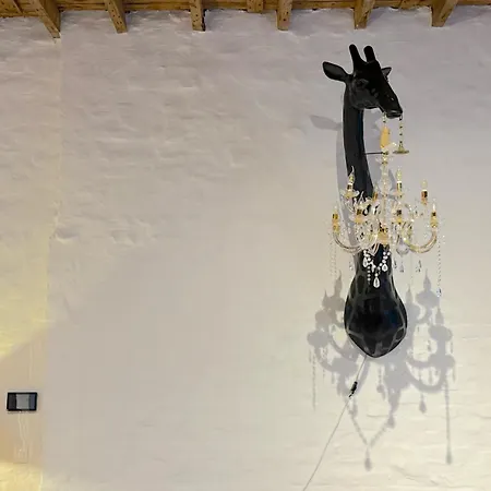 74 - Exceptional Retro Design Loft In The Heart Of